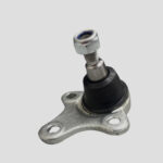 سیبک طبق MVM X22